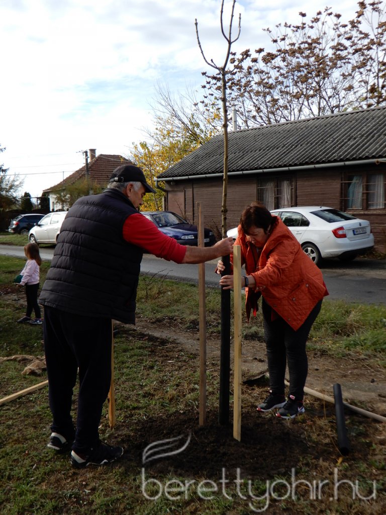 Közösségi faültetés Berettyóújfaluban 27